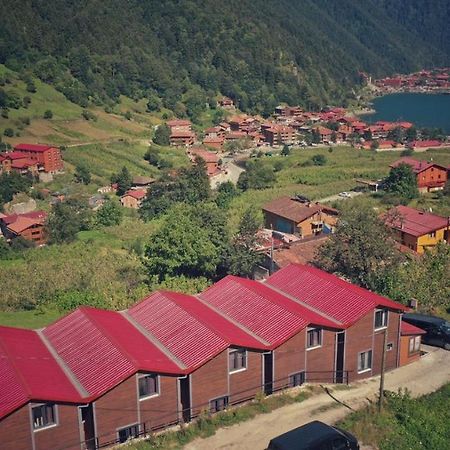 Horio Villa Узунгьол Екстериор снимка